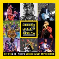 Harlem Meet Africa!