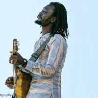 Roots Reinvented in Mali & Egypt