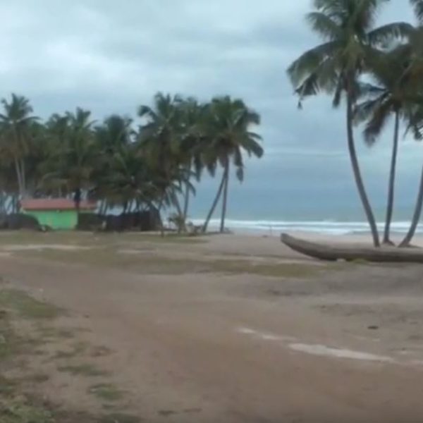 A Peaceful Moment From Our Archives: Ebo Taylor in Ghana, 2013