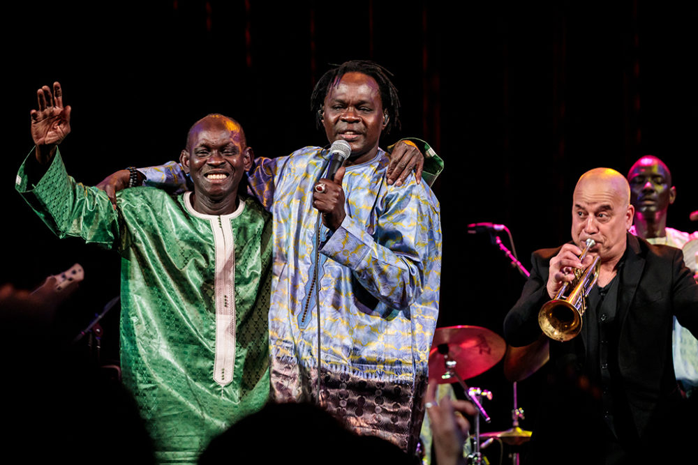 Mansour Seck, Baaba Maal, Steven Bernstein (Sachyn Mital, 2019)