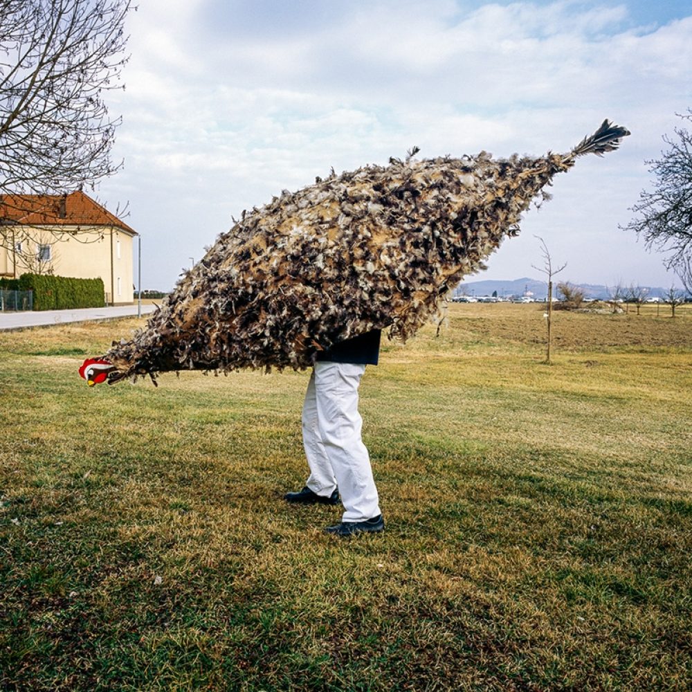 “Kürika Hen” Markovci, Slovenia