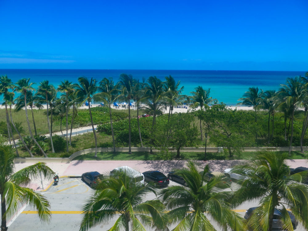 just a block from the North Miami Beach bandshell...