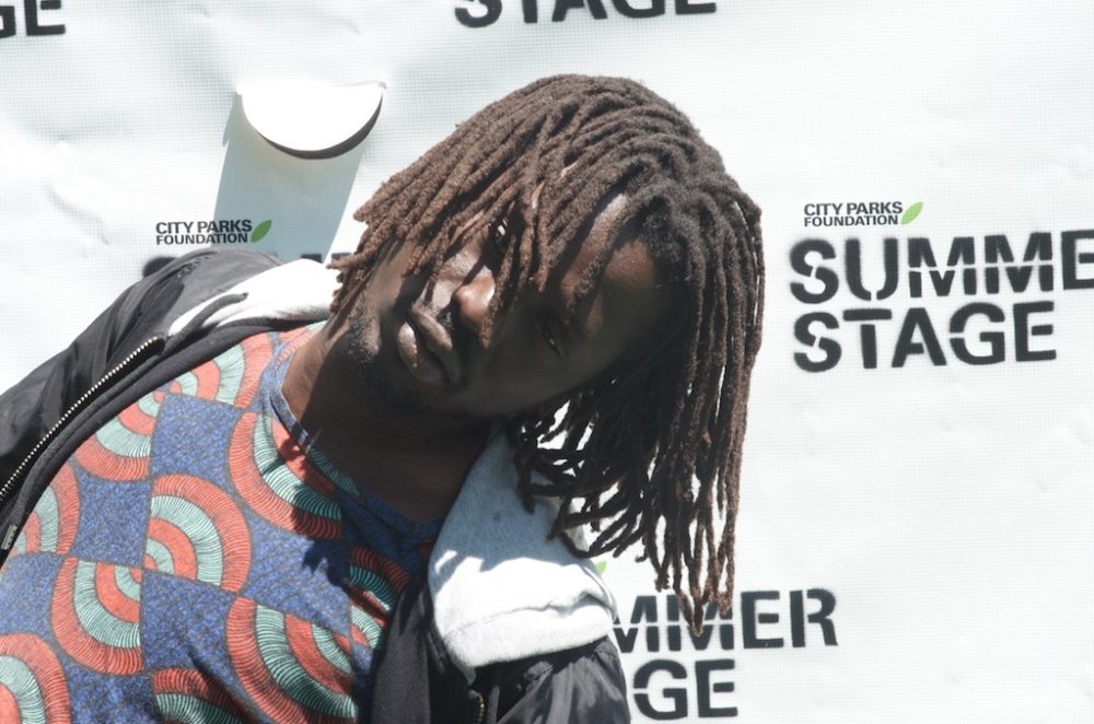 Jal at New York's Central Park Summerstage (Eyre 2015)