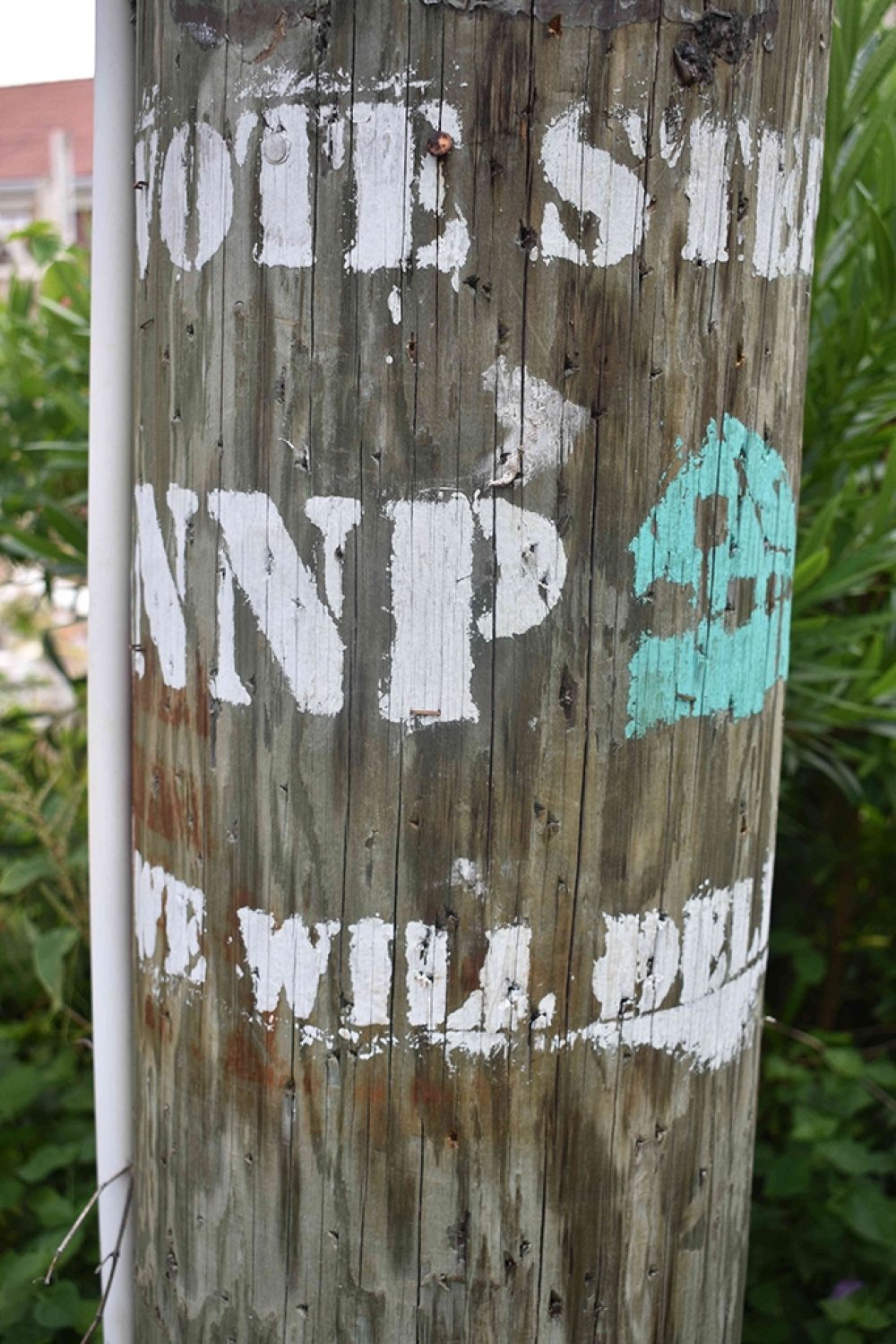 Vote NNP: a stencil on a telephone pole, Photo ©David Katz