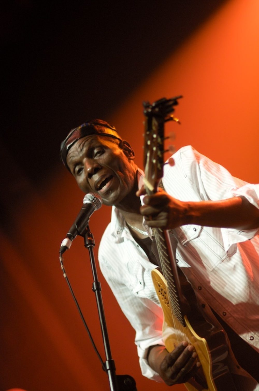 Farewell, Tuku. You will always be remembered and loved!