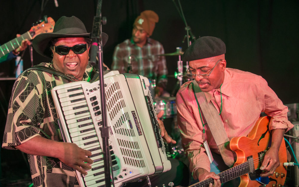 Nathan & the Zydeco Chachas (USA)