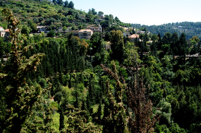 Lebanese countryside (Eyre 2013)