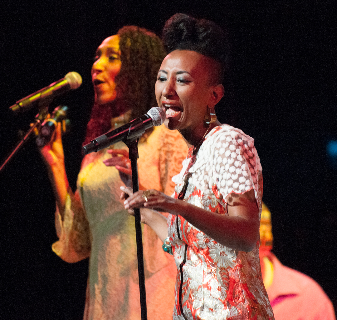 Concert Review: Africa Now! at the Apollo