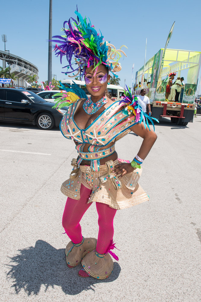This Carnival partygoer hails from Grand Bahama Island, wearing a distinctive bird-of-paradise costume. 