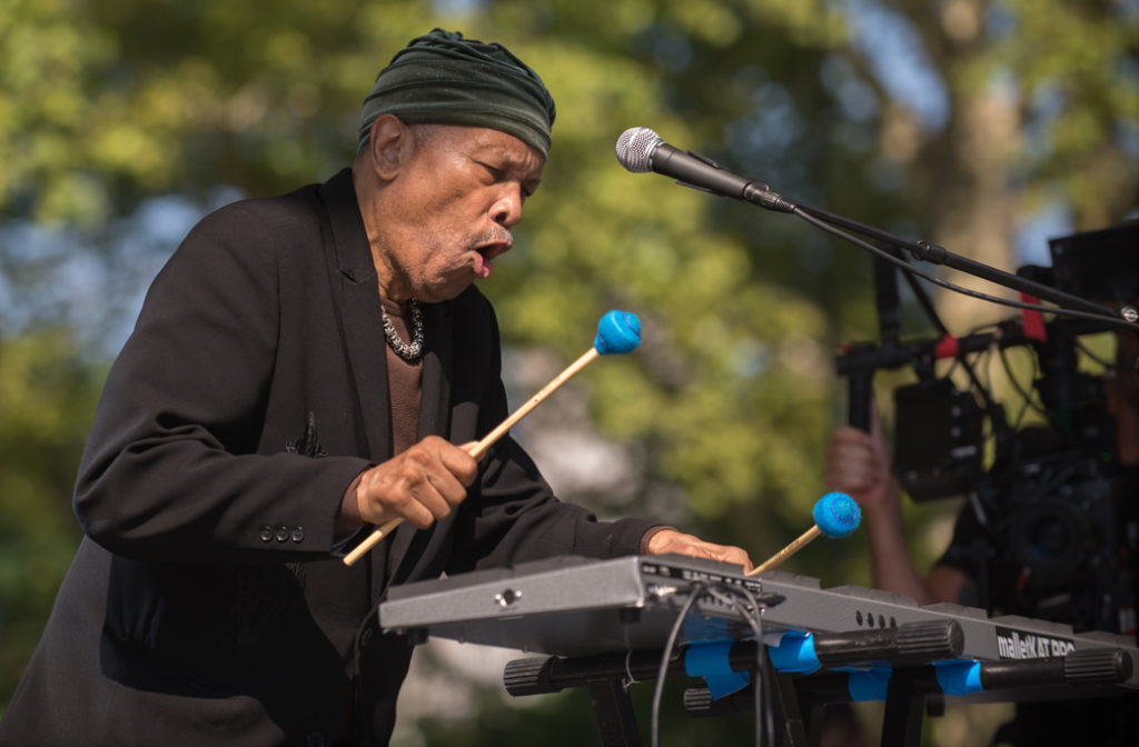 Roy Ayers at Central Park SummerStage (Eyre 2017)