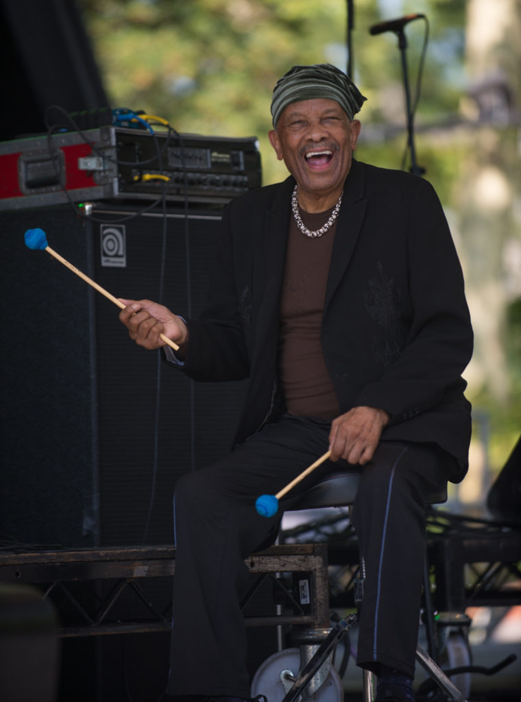 Roy Ayers at Central Park SummerStage (Eyre 2017)